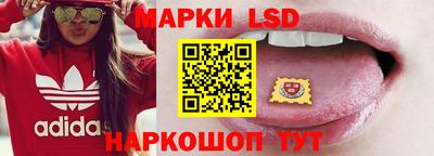 гидропоника Гатчина