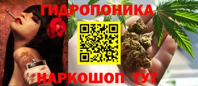 прущие крисы Гагарин