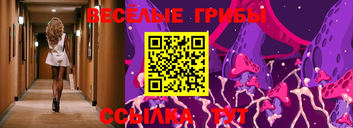 Псилоцибиновые грибы MAGIC MUSHROOMS  Вход с VPN  Галлюциногенные грибы Cubensis  Серпухов 